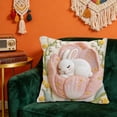 thumbnail image 6 of TanSiDing Cute Animal Pillow Cover Fluffy Plush Sofa Cushion Cover Decorative Throw Pillow Case for Home Decor Living Room Bedroom Cozy Gift 17.72in, 6 of 6