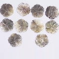 thumbnail image 5 of EOEMY 10Pcs 28mm Natural Gray Black Shell Bauhinia Flower Mother Of Pearl Charms Beads, 5 of 6