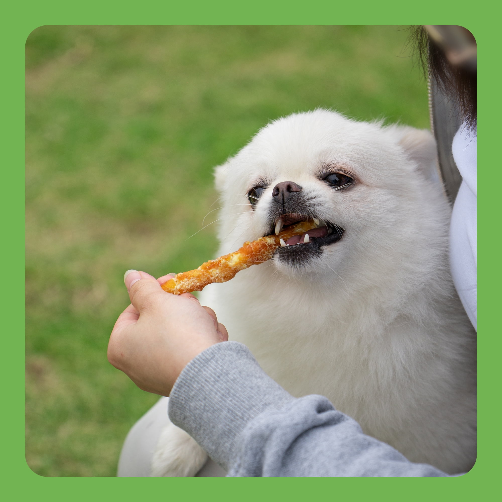 MON2SUN Dog Treats, 5 inch Rawhide Twist Chicken Hide Sticks, Suitable for Puppy and Small Dogs, 14 oz