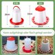 thumbnail image 2 of Juego de 2 piezas de bebedero de 2,5 l y comedero de 3 kg, comedero para pollitos, kit de bebedero, comedero para aves, bebedero para aves, rojo y blanco, 2 of 5