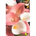 thumbnail image 6 of Artificial Calla Lily Pink Flowers 12Pcs Fake Flower Bouquet for Home Decoration Wedding Party Decor, Light Pink, 6 of 12
