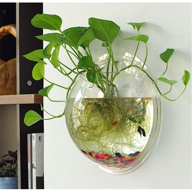 2 gallon wall mount fish bowl sales