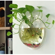 Aquarium for Betta Fish - 1-Gallon Clear Bowl, Wall Mounted with Plant Bubble, Decorative Fish Tank