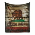 thumbnail image 1 of Flag Soft Flannel Fleece Throw Blanket, Grunge California Flag on Rustic Boards Grunge Weathered Design, Cozy Plush for Indoor and Outdoor Use, 60" x 80", Vermilion Brown, by Ambesonne, 1 of 6