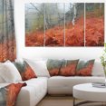 thumbnail image 1 of Red Fern in Foggy Fall Fay, 1 of 3
