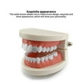 thumbnail image 2 of Hip Hop Teeth Personality Grills Single Teeth Exquisite Micro-Inlaid Zircon Braces Fashion Teeth Grills Set Grills Teeth Decoration for Halloween Party Performance, 2 of 6
