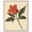 Silver Frame, variant on Red Petal Reverie II Canvas Vintage Botanicals by Art Remedy, Gallery Wrapped, 16" x 20"