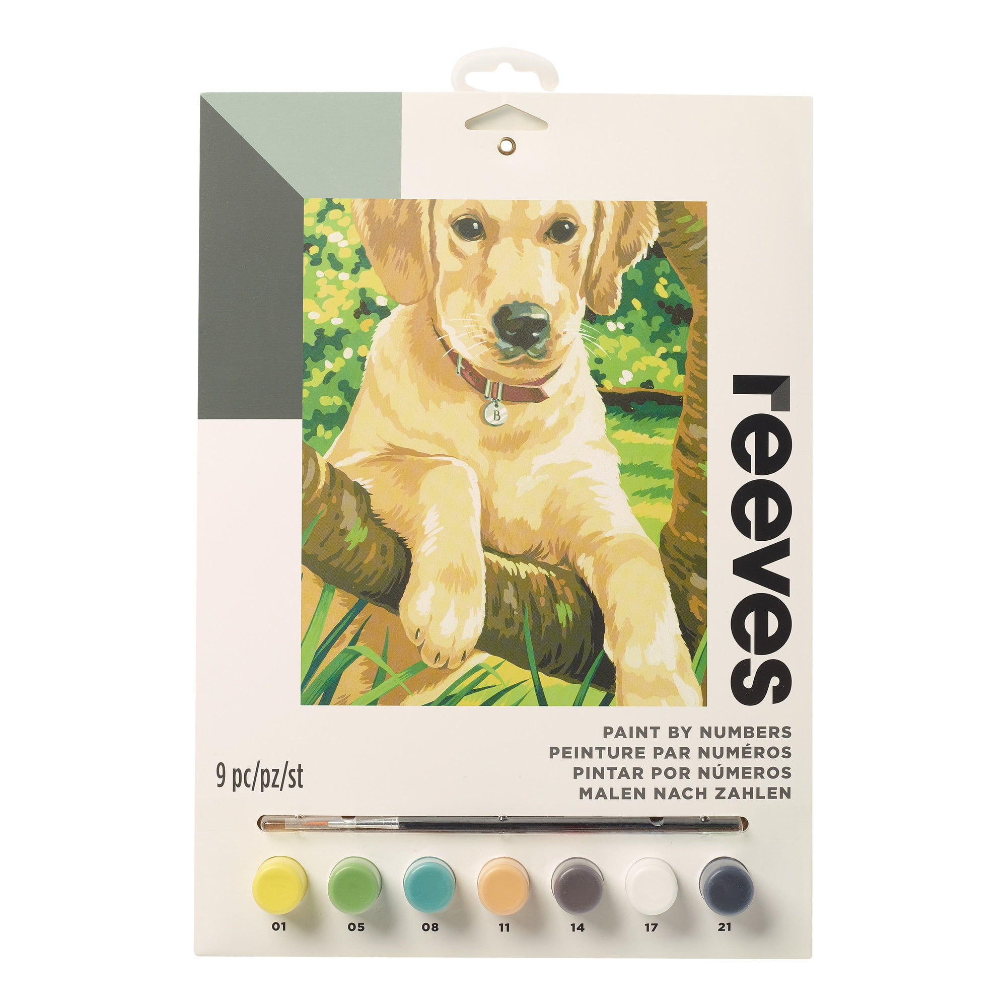 labrador paint by numbers