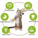 thumbnail image 3 of 4pcs Matatabi Cat Chew Sticks,catnip Sticks,catnip Sticks,cat Grass Stick,molar Cat Interactive Stick,catnip Toys Sticks,cat Toy Stick,cat Stick, 3 of 5