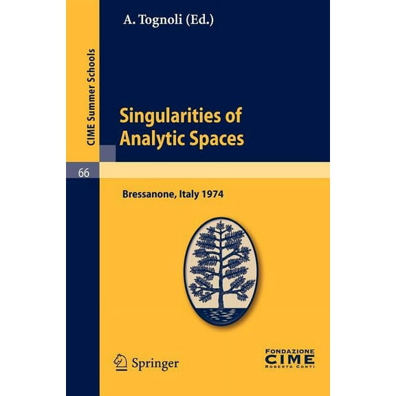 C.I.M.E. Summer Schools Singularities of Analytic Spaces: Lectures Given at a Summer School of the Centro Internazionale Matematico Estivo (C.I., Book 66, (Paperback)