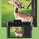 thumbnail image 3 of Cámara Portátil De Viaje, Función De Cámara Web Cámara Digital 4K Luz De Relleno Antivibración Pantalla IPS De 3,0 Pulgadas Con Soporte De Zapata Fría Para Fotografía, 3 of 7