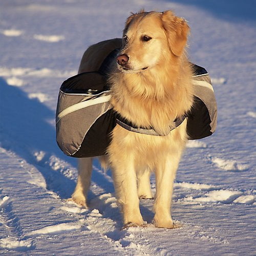 doggles backpack extreme