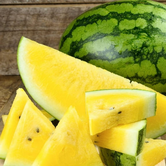 TomorrowSeeds - Yellow Crimson Watermelon Seeds - 100 Count - For 2026 Planting Open-Pollinated
