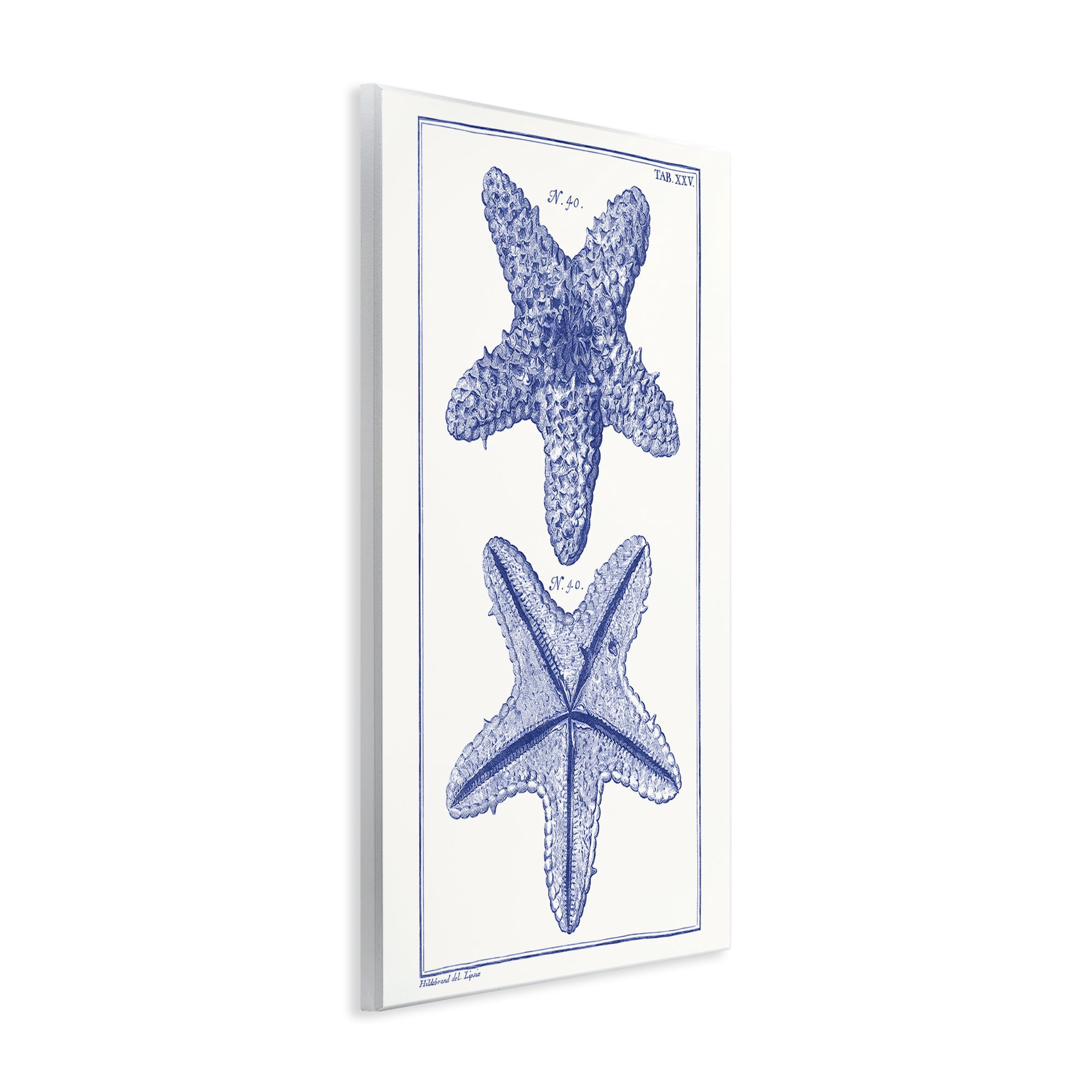 Stupell Industries Blue Starfish Studies Animals & Insects Painting Unframed Art Print Wall Art, 10 x 15