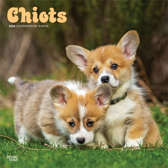 Chiots | 2026 12x24" (Hanging) Square Wall Calendar