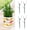 Green 4pc Home Decor, variant on 1 Pack Stackable Monstera Plant Support, Garden Plant Support Stakes for Indoor Outdoor Plants, Climbing Plant Support Structures Plant Holder Stick Moss Pole for Support Tall Potted Plants