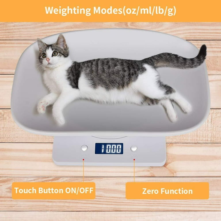 Digital Pet Scale