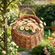 thumbnail image 3 of Woven Wall Basket Handmade Natural Rattan Flower Pot Hangable For Home Garden Wedding Wall Mounted Planter For Indoor, 3 of 9