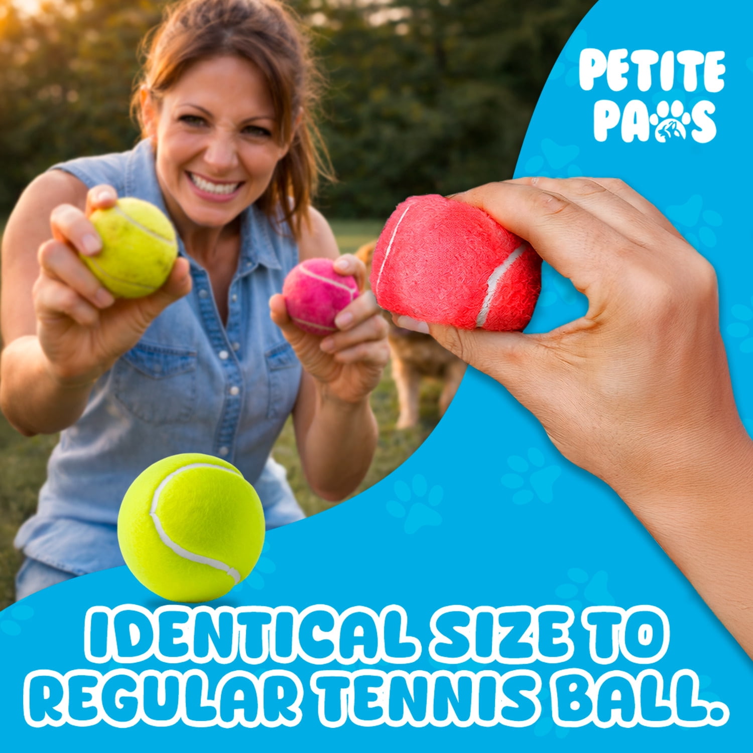 Petite Paws Colorful Squeaky Tennis Balls for Large Dogs and Puppies — 2.5-Inch, 12-Pack — High-Bounce Fetch Toy