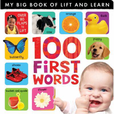 Pre-Owned My Big Book of Lift and Learn: 100 First Words (Hardcover) 1848572832 9781848572836