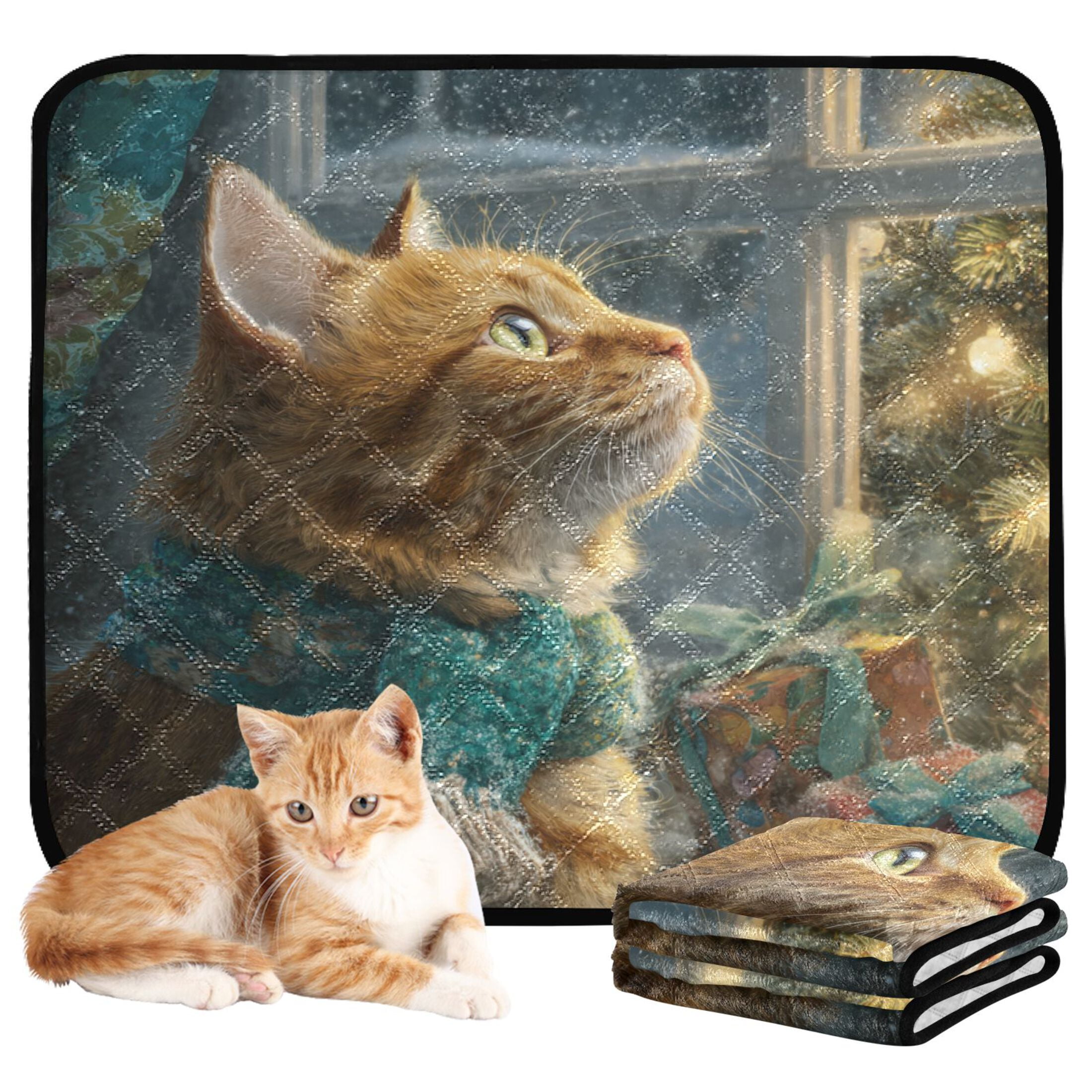 Qxltty Ginger Cat Cat litter Pads Pet Set of 2 Diaper Mats Center Anti-leakage Layer Absorbent Soft and Comfortable