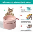 thumbnail image 4 of El cuenco elevado de comida para gatos amplía los platos elevados de comida para gatos para proteger la columna vertebral y aliviar la fatiga de los bigotes, 4 of 6