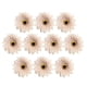 thumbnail image 2 of 10 piezas de flores a granel, cabezas de flores falsas, girasoles, cabeza artificial para álbumes de recortes caqui, 2 of 9