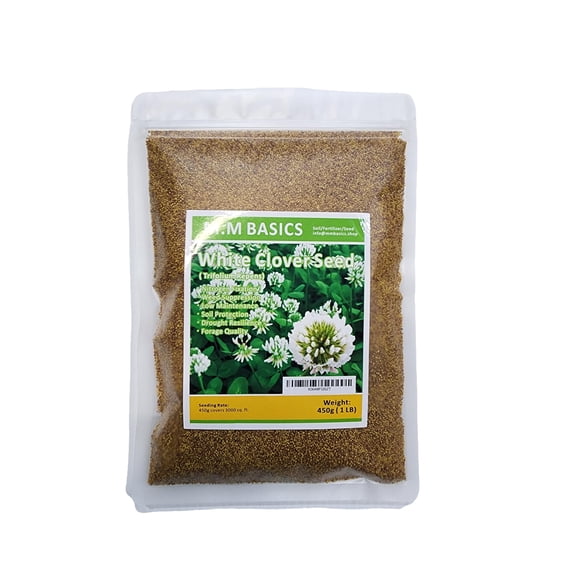 1 Livre de Graines de Trèfle Blanc Dutch Lawn - Graines de Trèfle Blanc pour Lawn Canada (450 g)