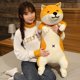 thumbnail image 1 of 120CM lovely Cat Plush Toys Long Animal Dog&Cat Pillow Stuffed Toy for Children Baby Sleep Cushion Birthday Gift zhangmengya LED, 1 of 2