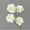 A, variant on White Carnations Artificial Flowers 1PC Fake Carnations Flowers with Stems Faux Silk Carnations for Wedding Home Party Table Centerpieces Floral Arrangements(4 Heads)