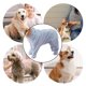 thumbnail image 5 of Perro Albornoz Absorbente Mascota Toalla Perros Tela Suave Cálido Cachorro Grooming Albornoz Post Baño Secado Sacudir Agua Diseño, 5 of 6