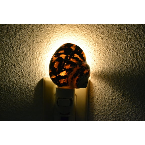 Black Cyprea Pica Seashell Nightlight
