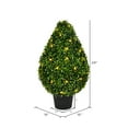 thumbnail image 5 of Vickerman Artificial 24" High X 15" Wide Boxwood Teardrop Shaped Bush, warm white 3mm LED lights., 5 of 5