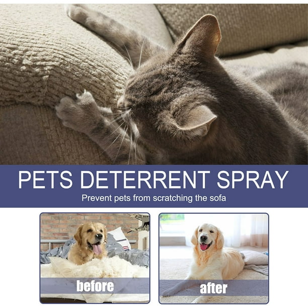 Dog deterrent for furniture discount