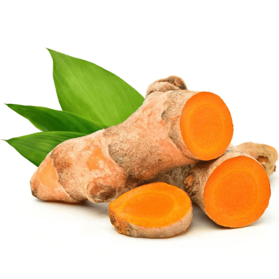 8 Tumeric Roots Fresh Turmeric Roots, Curcuma Longa Herb Tubers Live for Garden, Live Rhizomes Ready to Planting
