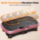 thumbnail image 5 of Placa vibratoria Fitness Platform AXV Vibration Plate Pro, 5 of 6