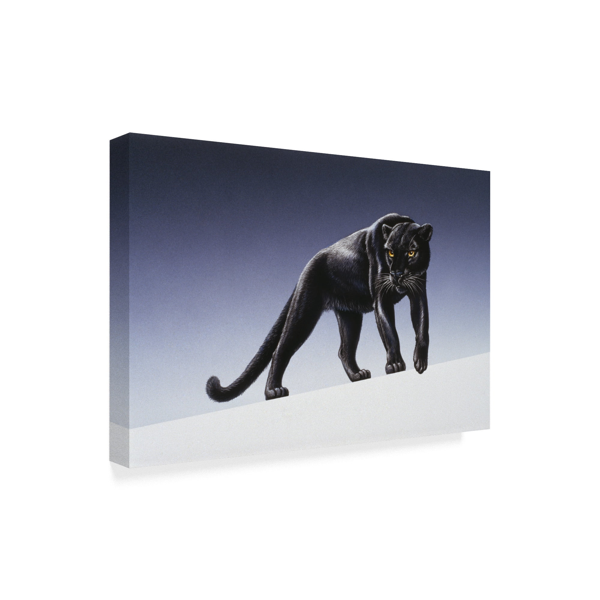 Trademark Fine Art 'Black Panther Light' Canvas Art by Harro Maass