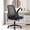 All Black, variant on NEO CHAIR Office Chair, Flip-up Padded Armrests Desk Chair, Ergonomic Back Support, Black