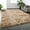 Light Brown, variant on UNTIMATY 8ft x 10ft Area Rug, Soft Fluffy Area Rugs for Living Room Bedroom Kids Room Decor Carpet, Light Gray