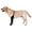 Black left leg, variant on Msioytog 1Pc Dog Socks to Prevent Licking Paws Dog Recovery Sleeve Socks Healings Boot & Paws Protectors with Anti-Slip Bottoms