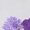 White5, variant on UNISHE Women's Purple Wildflower Print White V-Neck Sleeveless T-Shirt S-5XL Daily Tank Top