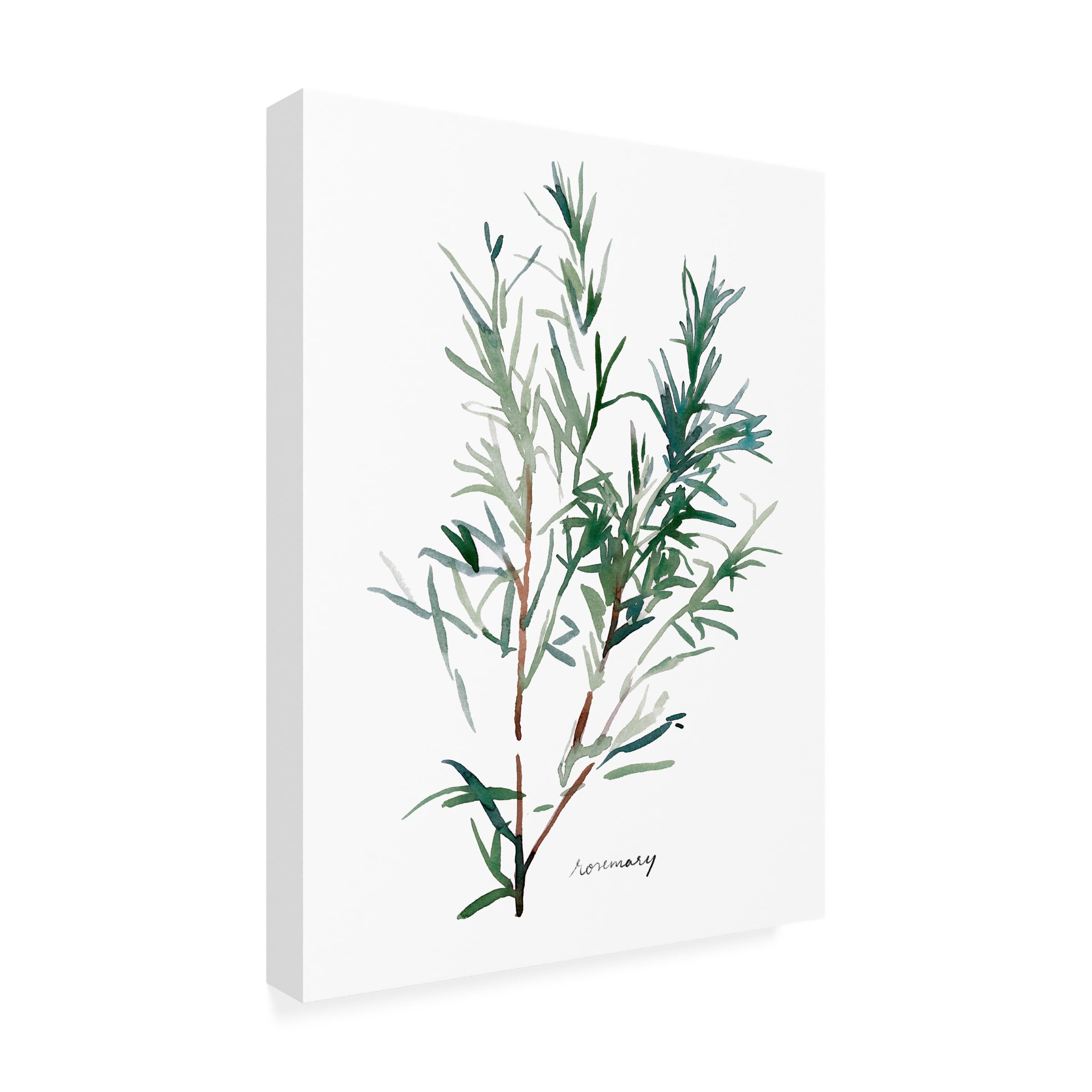 Emma Scarvey 'Herb Garden Sketches IV' Canvas Art