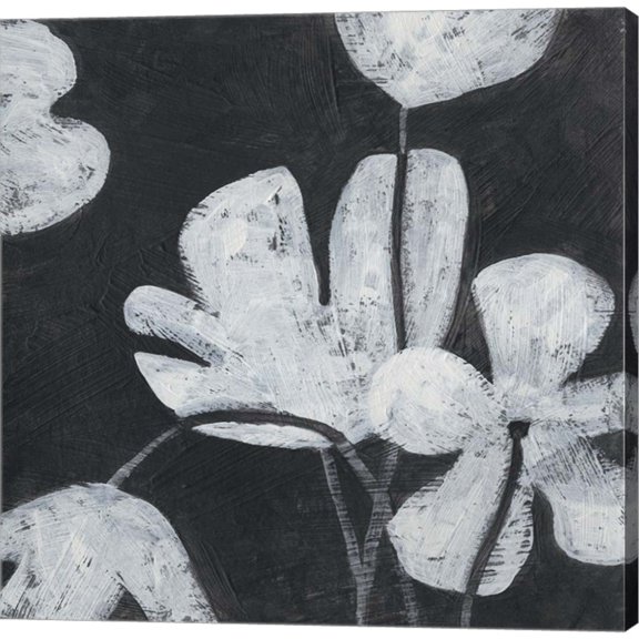 Great Art Now Monochrome Meadow I by June Erica Vess, Canvas Wall Art, 24W x 24H