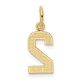 thumbnail image 5 of Auriga 14K Yellow Gold Casted Polished Number 2 Charm Pendant for Women (L-15.08mm, W-7.78mm), 5 of 6