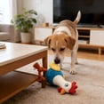 thumbnail image 4 of BESTSKY 2 in 1 Plush Chicken Dog Toy with Rubber Squeaker, Interactive Rope Legs for Small and Medium Dogs, Multicolor Tug and Fetch Chew Rooster Toy, 4 of 7