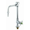T&S Brass Laboratory Faucet with Single Temperature