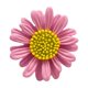 thumbnail image 5 of Broche de margarita pequeño, elegante, sencillo y a la moda, de estilo fresco, combinable con todo, con diseño de flor simple y a la moda, 5 of 6