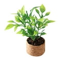 thumbnail image 3 of 6x Bonsai Artificial Modelo Micro Paisaje Escala 1:12 Dormitorio Escena de La Vida Muebles Casa de Muñecas Flores en Maceta Plantas Decoración de Plan 6 piezas, 3 of 8