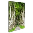 thumbnail image 2 of Trademark Fine Art "The Dark Hedges" Canvas Art by Philippe Sainte-Laudy, 2 of 3