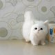 thumbnail image 5 of 1 unidad de lindos juguetes de peluche de gato de simulación, gatito de peluche suave, modelo de gato falso, animales realistas para niños, niñas, cumpleaños, regalo del Día de San Valentín, 5 of 5
